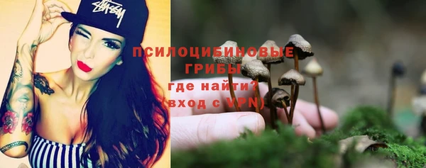 бошки Нефтегорск