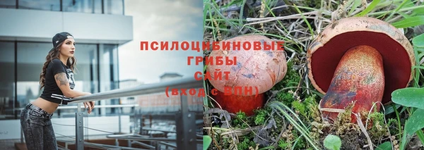 бошки Нефтегорск