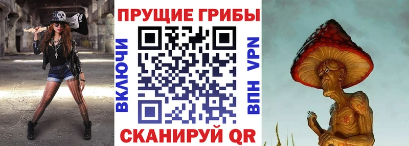 Купить где  Белгород  Псилоцибиновые грибы мухоморы 