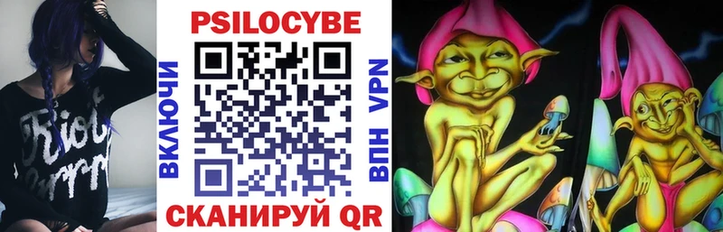 Галлюциногенные грибы Psilocybine cubensis Белгород